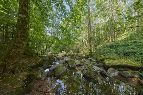 Gemeinde Waldkirchen Landkreis Freyung-Grafenau Saußbachklamm (Dirschl Johann) Deutschland FRG